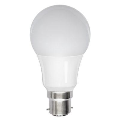 Ampoules de chantier – 10 000 h – LED SMD – A60
