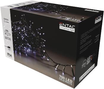 GUIRLANDE LED  – IP44- 700 LED- Blanc froid