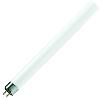 TUBE FLUORESCENT - 13W - 53.4cm - G5