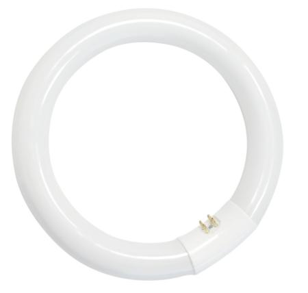 TUBE CIRCULAIRE T9- 32W - CIRCLINE - Ø30.5cm - G10q