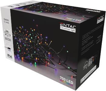 GUIRLANDE LED  – IP44- 700 LED- Multicolore